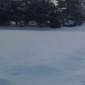 Meet your Posher, Averi